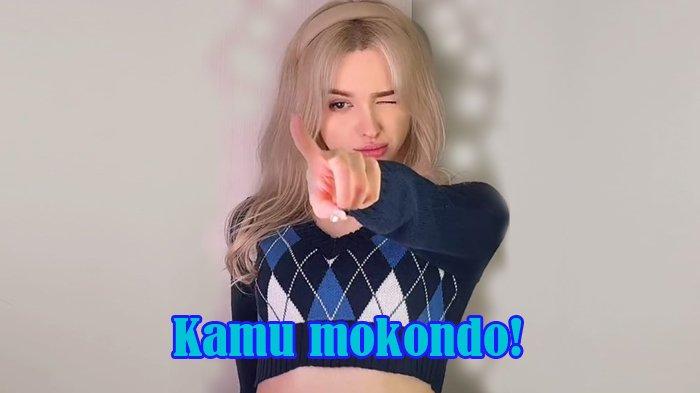 Mokondo Adalah Bahasa Gaul, Apa Itu Mokondo dalam Bahasa Gaul dan Artinya?