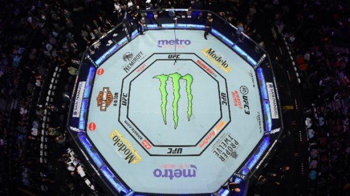 Elon Musk Vs Zuckerberg, Pemilik Twitter Itu Jadikan Bintang UFC Untuk Melatihnya