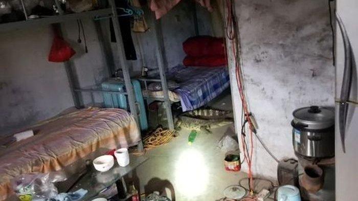 Astaga, Tak Disadari Buaya Ganas Sembunyi di Kolong Tempat Tidur, Untung Ada Sesuatu di Mulutnya