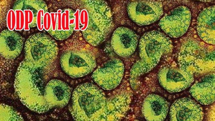 UPDATE Data Kasus Covid-19 di Riau, Jumlah ODP Meningkat Sebanyak 4.434 Orang, PDP 72 Orang