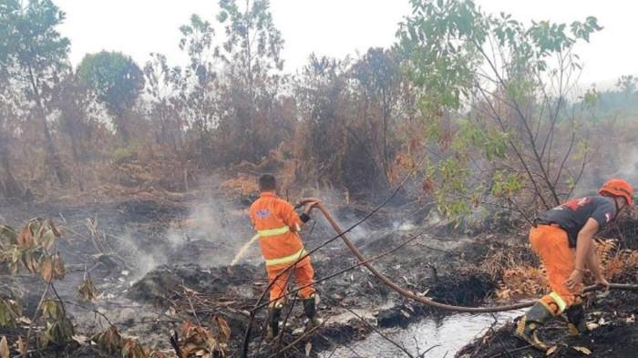 Mendagri Minta Daerah Siaga Bencana Hidrometeorologi, di Kampar Malah Muncul Karhutla