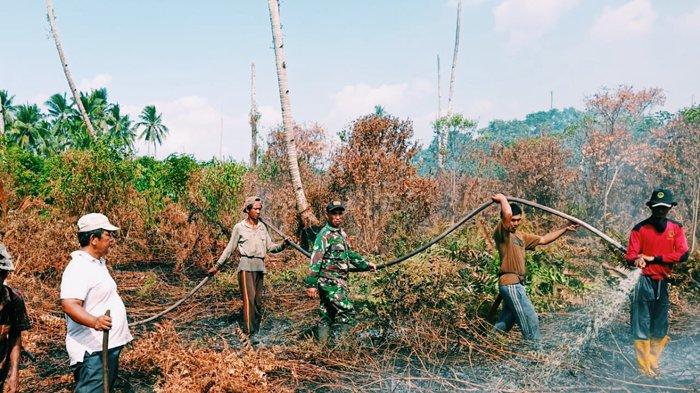 Karhutla di Riau Ludeskan HAMPIR 4 RIBU Hektar Hutan dan Lahan, Gubri Syamsuar: Tidak Perlu Khawatir