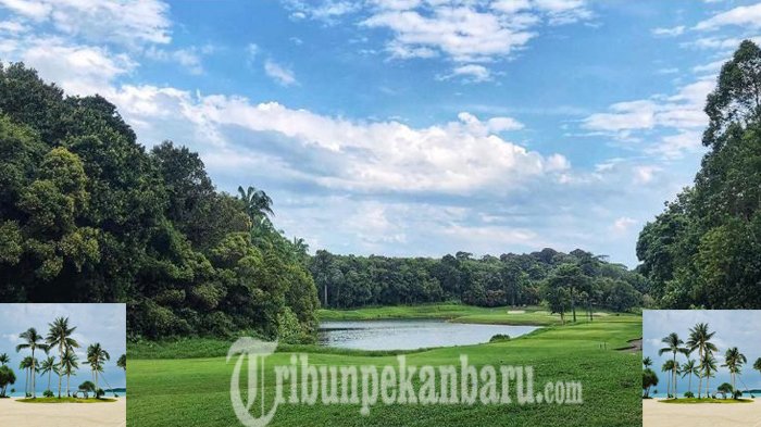 Saham Pemrov Riau di Lagoi Resort Bekurang dari 12,5 Persen menjadi 1 Persen