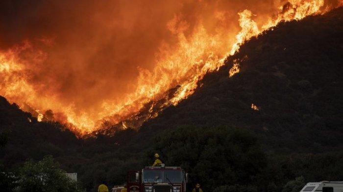 KARHUTLA Menggila! 8.000 Hektare Terbakar Hingga Buat Ribuan Warga Mengungsi