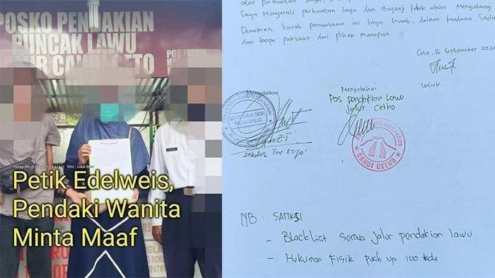 Pendaki Wanita yang Petik Bunga Adelweis  Disanksi, Diblacklist dan Push Up 100 Kali, Ini Nasibnya!
