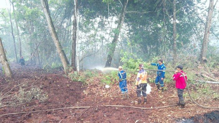 Sempat Kembali Terbakar, Tim Gabungan Lakukan Pendinginan di Lokasi Karhutla Pelintung