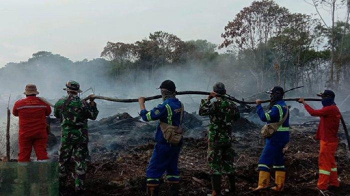 19,07 Ha Lahan Terbakar Selama 2023, Patroli ke Lokasi Rawan Karhutla di Dumai Makin Intens
