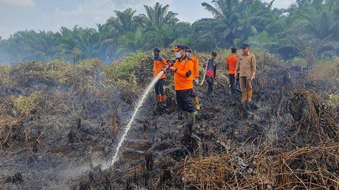 Karhutla Kembali Muncul di Bengkalis, Lokasinya di Sini, Akses Darat Sulit Dijangkau