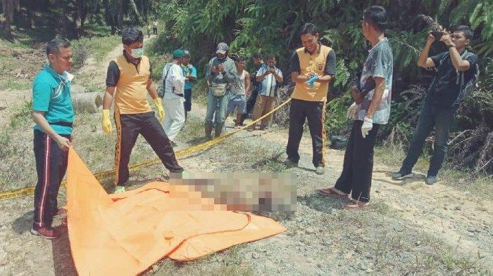 Sempat Hilang 4 Hari, Mak Arau Ditemukan Tewas Posisi Telentang di Kebun Sawit Pelalawan Riau