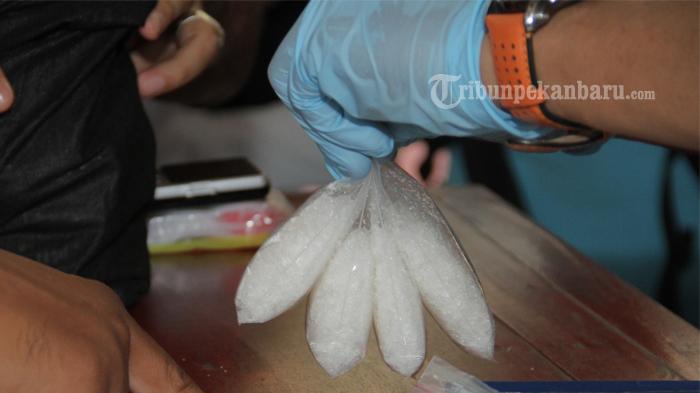 Berita Populer Pekanbaru Hari Ini, Penangkapan Narkoba, Ada yang Modus Pakai Kandang Ayam