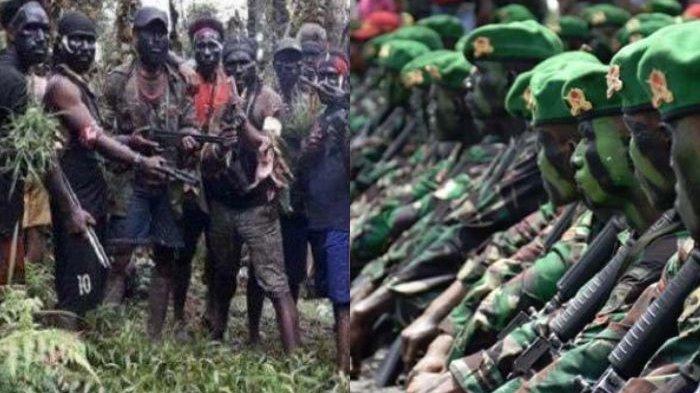 KKB Papua Menggila & Makin Brutal, Tembaki Pesawat Warga Sipil, Ada 7 Penumpang Salah Satunya Bayi