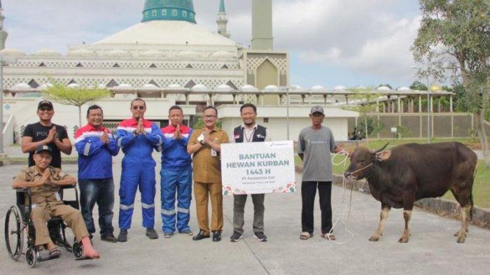 Semangat Berbagi, Pertagas Salurkan 169 Hewan Qurban