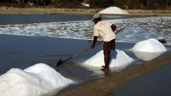 Gawat, Perusahaan Pengepakkan Garam Beryodium di Pekanbaru Tak Ada yang Kantongi Izin SNI