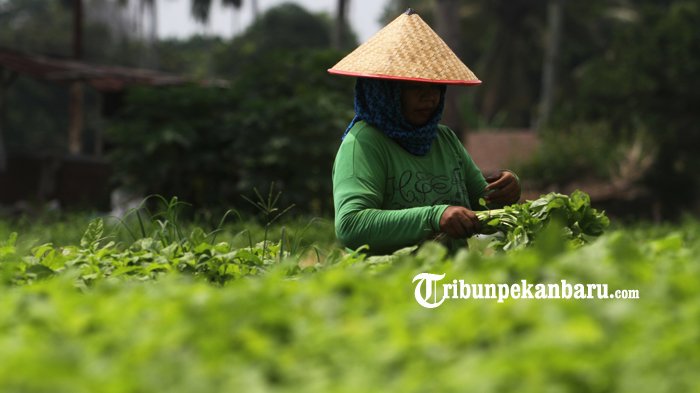 Banyak yang Tak Tahu 9 Makanan Pengurang Depresi Ini Mudah Ditemukan