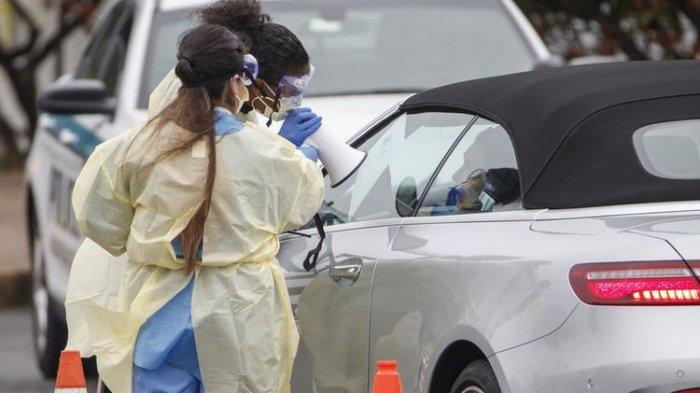 Tidak Hanya Menjangkiti Manusia, di Amerika, Singa dan Harimau juga Positif Virus Corona