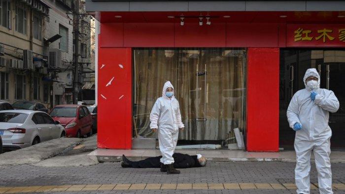 WHO 'Kepo' Indonesia tak Terjangkit Virus Corona, Harvard pun Ikutan Bingung