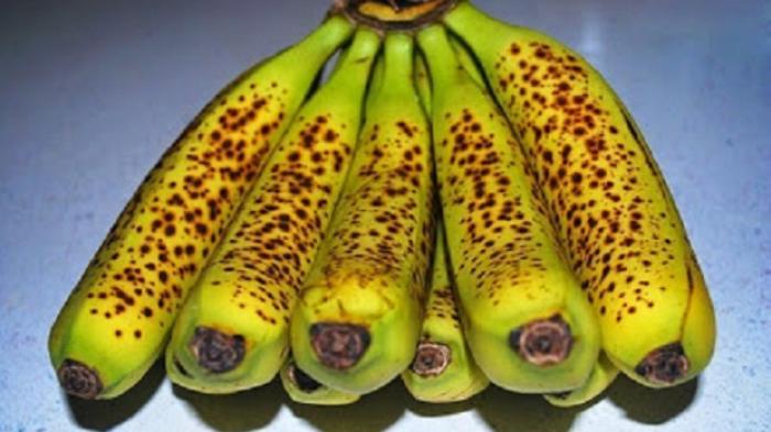 Mantan Anggota DPRD Gunungkidul ini Buat Malu Saja, Dipolisikan Nenek-nenek Karena Pencurian Pisang