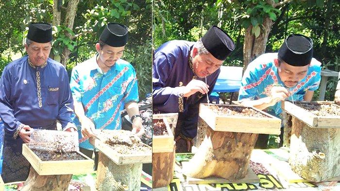 Plt Bupati Siak: Madu Kelulut Jadi Mata Pencaharian Baru Warga Siak Riau