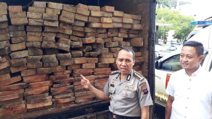 Polda Sumbar Sita 16 Kubik Kayu Illegal Logging, Pemilik Toko Bangunan Jadi Tersangka