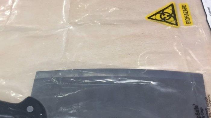 Pria Timor Leste Buat Onar di Inggris, Hampir Lakukan Pembunuhan Brutal Pakai Pisau Daging Ikan