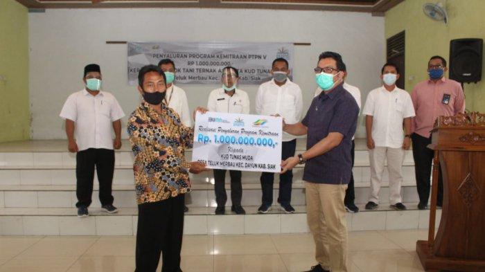 Kiat PTPN V Pertahankan Ekonomi Petani Plasma yang Direplanting