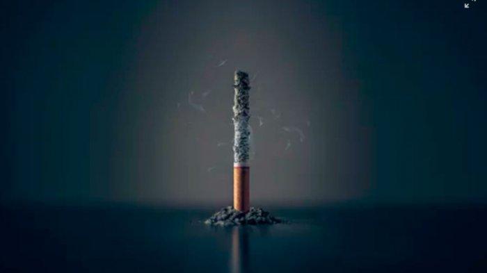 Anda Merokok? Tips Ini Wajib Anda Coba untuk Membersihkan Paru-paru, Gunakan Lima bahan Alami Ini