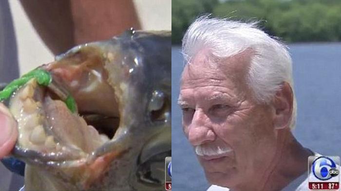 Ikan 'Pemakan Testis' Bergigi Mirip Gigi Manusia Ditemukan di Danau