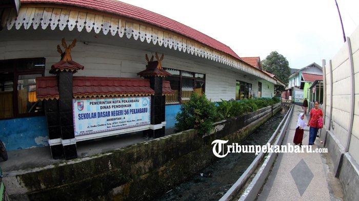 20 SDN Di Kota Pekanbaru Bakal Dimerger Mulai Tahun 2019 Ini, Begini Nasib Kepseknya