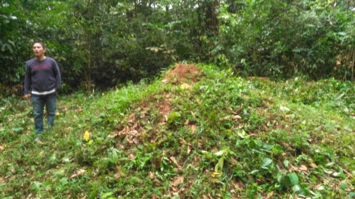 Berusia Ratusan Tahun Situs Sejarah Kubou Duduk di Dusun Kubu Baru Diyakni Keramat