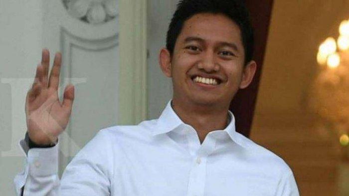 Mundur dari Staf Khusus Presiden Jokowi, Belva: Saya Tak Ingin Membuat Polemik Berkepanjangan