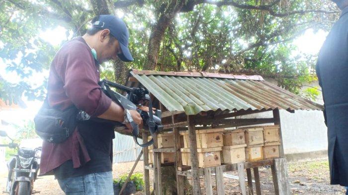 Tertarik Coba Budidaya Lebah Klanceng di Pekanbaru? MBM Jalin Pola Kemitraan, Bagaimana Caranya?