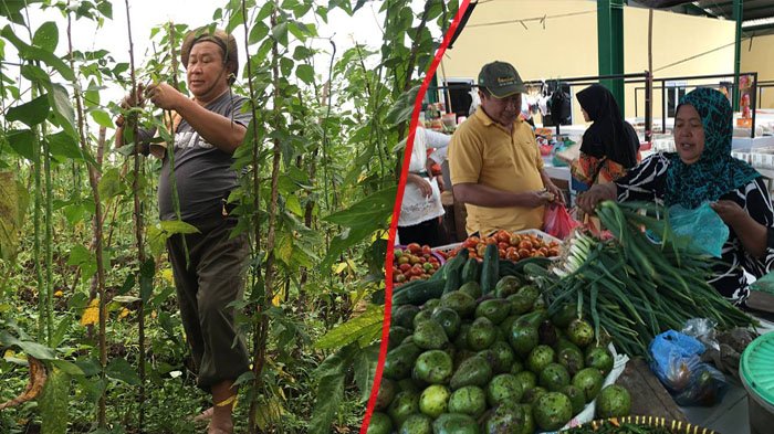 Ingat Susno Duadji? Eks Kepala Bareskrim Itu Jadi Petani & Temukan Benda Kuno Ini