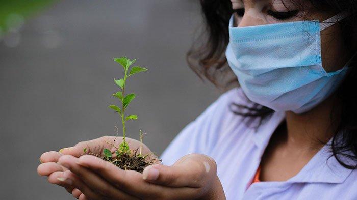 NASA Gempar, Tanaman bisa Tumbuh dalam Tanah yang Diambil dari Bulan, Para Ahli Sampai Terkejut