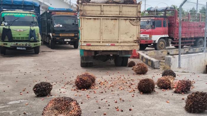 Kesal Tak Bisa Berangkat, Sopir Serak Muatan Sawit di Dermaga Pelabuhan Roro Insit