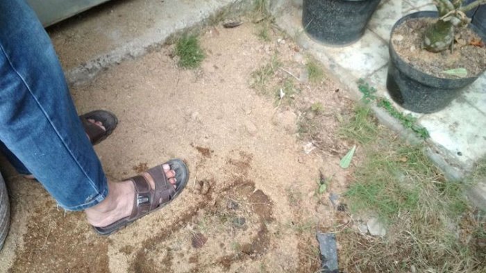 Ada Jejak Kaki Raksasa di Depan Rumah Warga di Kawasan Candi Borobudur, Ini Penampakannya