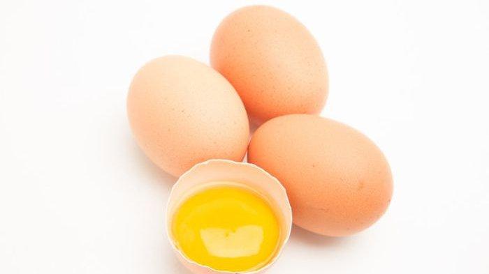 Rutin Makan 1 Telur Setiap Hari, Ini Manfaatnya untuk Kesehatan
