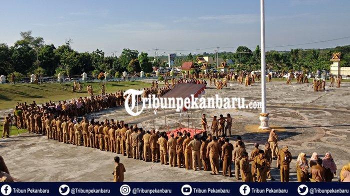 BREAKING NEWS: Tenaga Honorer akan Dihapus, Gubri Syamsuar Instruksikan BKD Segera Inventarisir