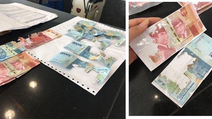 Simpan dalam Lemari, Uang Tabungan Rp 10 Juta Dimakan Rayap, Kisahnya VIRAL di Twitter