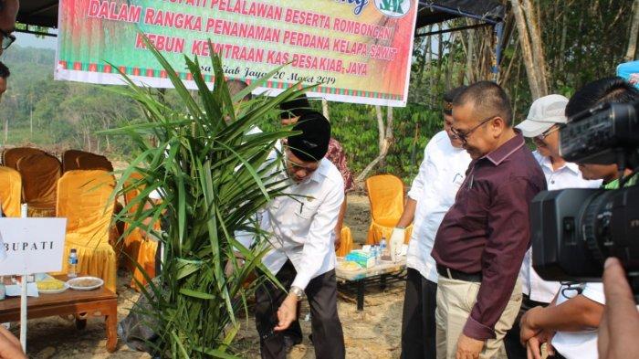 Wabup Pelalawan Riau Berharap Kebun Kemitraan di Kiab Jaya Tingkatkan Kesejahteraan Masyarakat