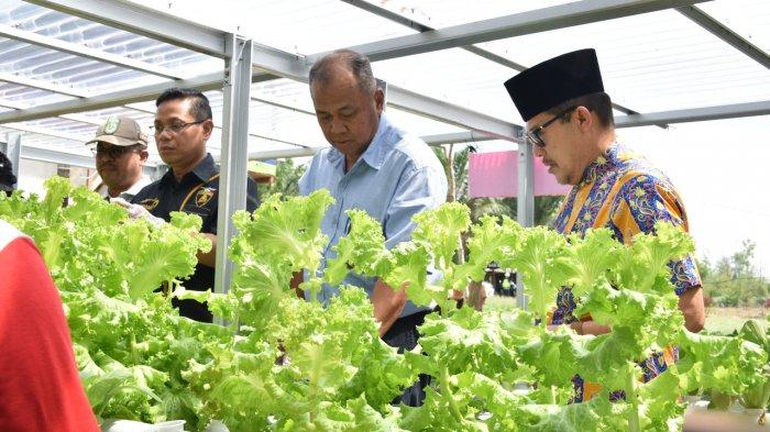 TRIBUN WIKI: Serunya Mancing di Kawasan Eduwisata, Pertamina Dumai Berdayakan Masyarakat