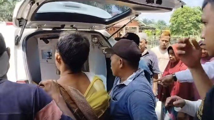 Warga di Kampar Diserang Buaya Saat Memancing, Alami Luka Robek di Lengan