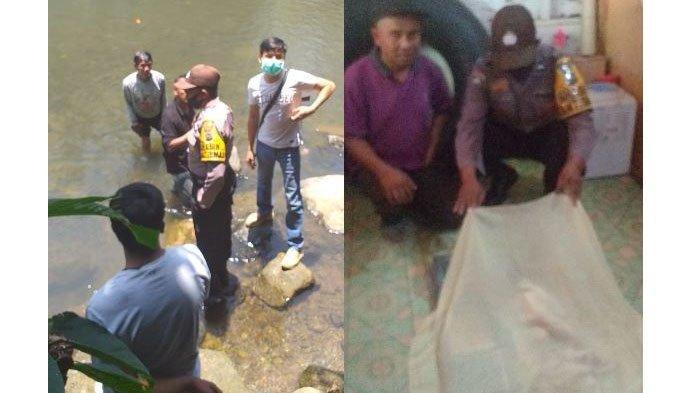 Warga Geger, Temukan Mayat Bayi dengan Kondisi Mengenaskan, Tubuh Dicabik Biawak