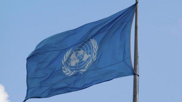 Rusia Sebut WHO dan Palang Merah Hentikan Pasokan Obat ke Donetsk dan Luhansk, Ada Apa?