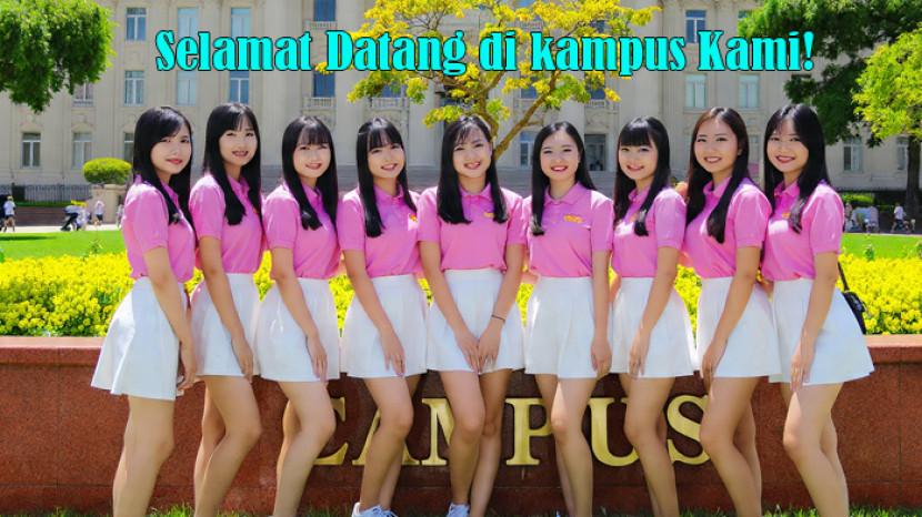 Tribun