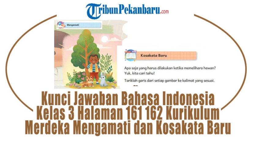 Tribun