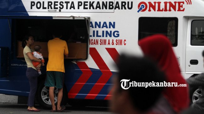 Tribun