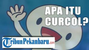 APA-ITU-CUROL-DALAM-BAHASA-GAUL-CEK-DISINI.jpg
