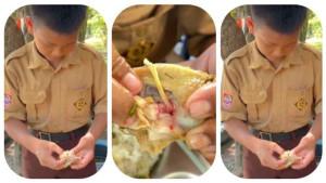 AYAM-MASIH-BERDARAH.jpg