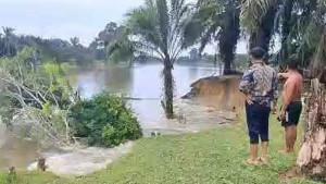 Abrasi-yang-terjadi-di-Desa-Kuala-Terusan.jpg
