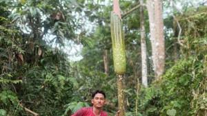 Ade-berfoto-dengan-bunga-bangkai.jpg